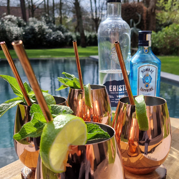 Moscow mule bekers zonder handvat, 500 ml bekers Inclusief 4 Rietjes, 4 onderzetters, 2 ice molds & jigger