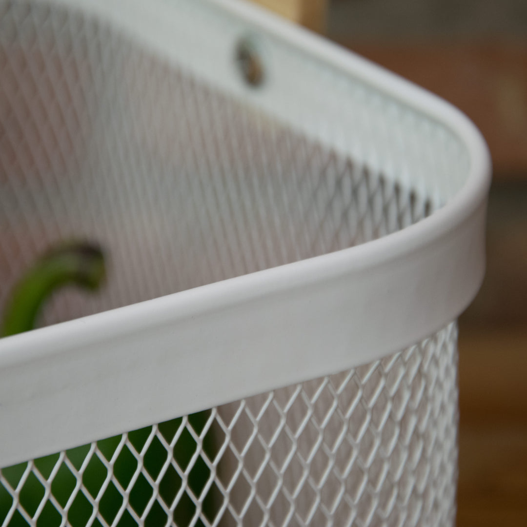 Fruit basket with handle